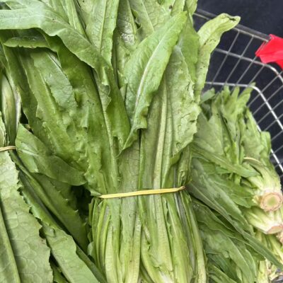 油麦菜
