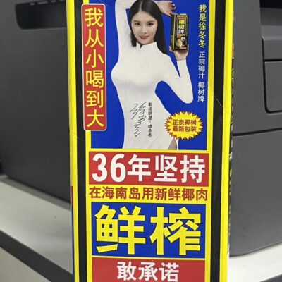 椰树牌椰汁1L